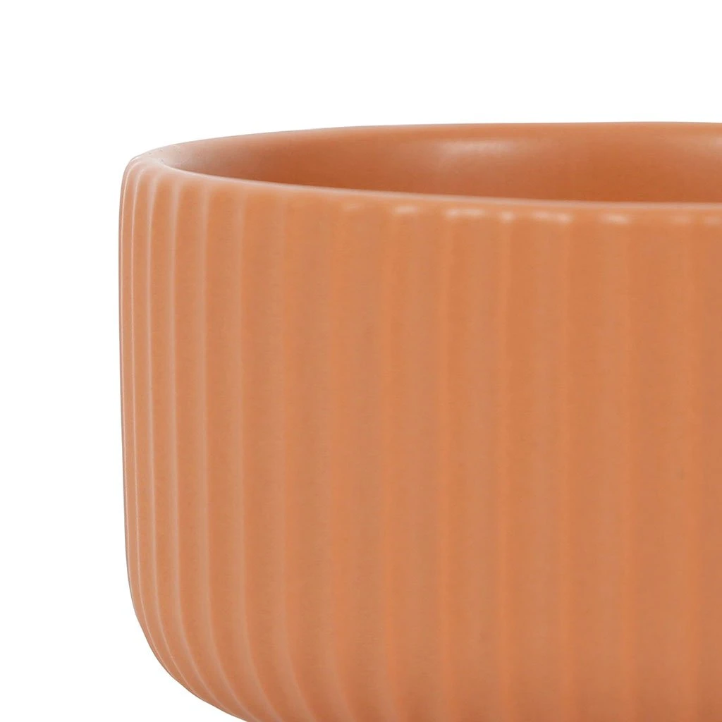 SEMA DESIGN Coupelles X3 Terracotta Et Plateau Bois Hervea - Sweet Leaves 6 SEMA DESIGN Coupelles X3 Terracotta Et Plateau Bois Hervea - Sweet Leaves – Image 4